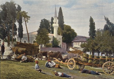 Tyrkiske vogne af European Photographer